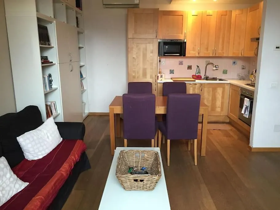 La Fiorentina - Penthouse In 佛罗伦萨 公寓